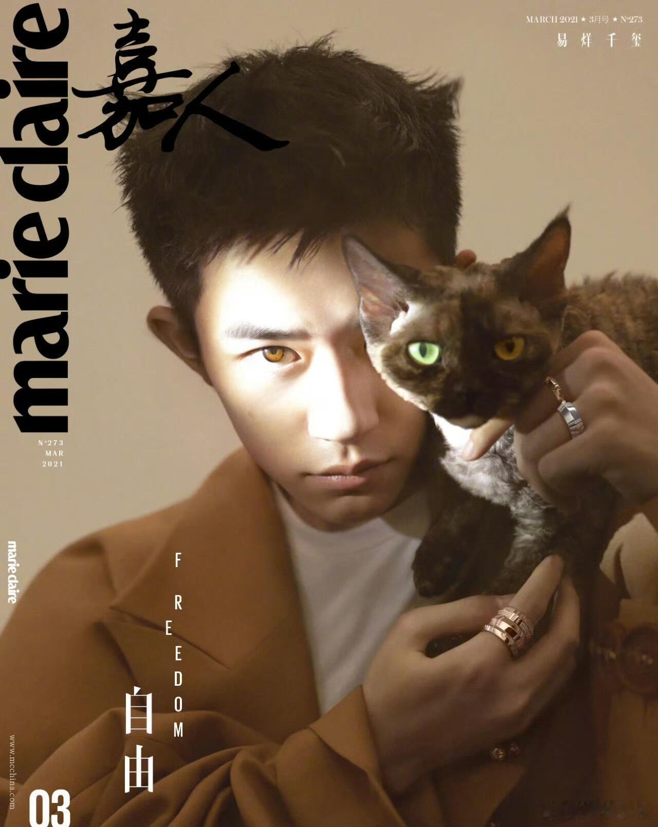 午间话题 TA抱着猫登上杂志，谁和猫一样神秘or可爱？新浪娱乐
