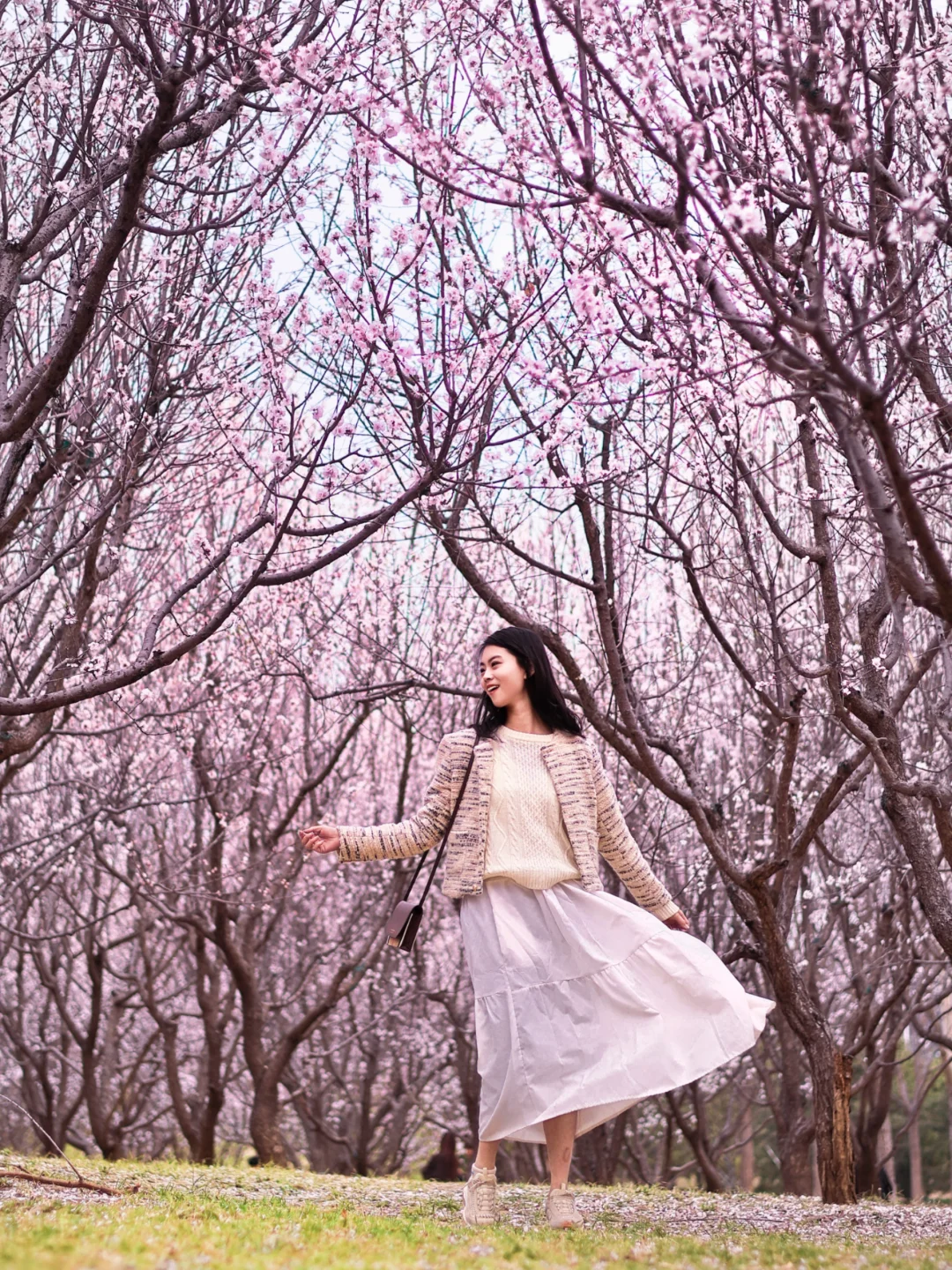 3.30实况‼️小众无人桃花雨‼️附露营地图