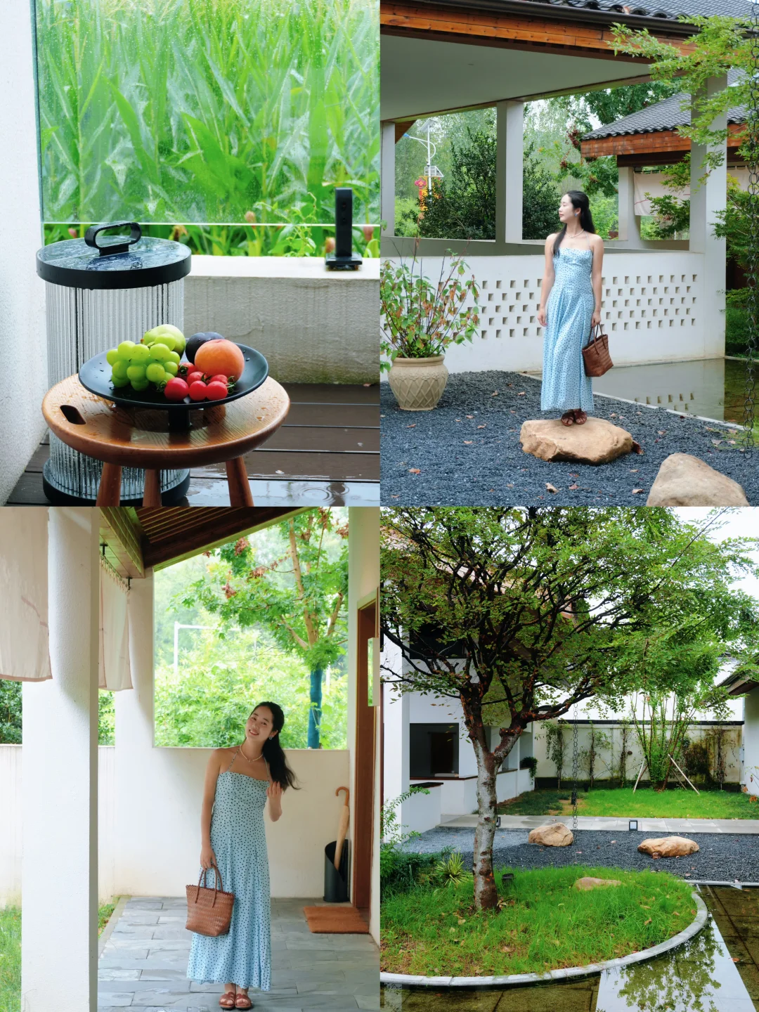 🏠河南版“有风小院”！南阳这家民宿美到失语
