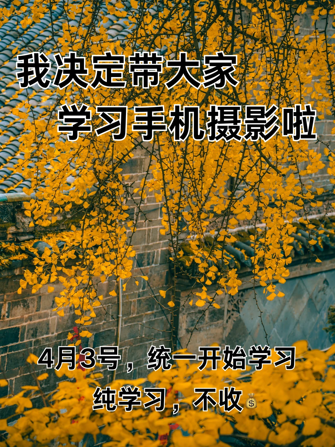 我决定带大家学习手机摄影啦！！