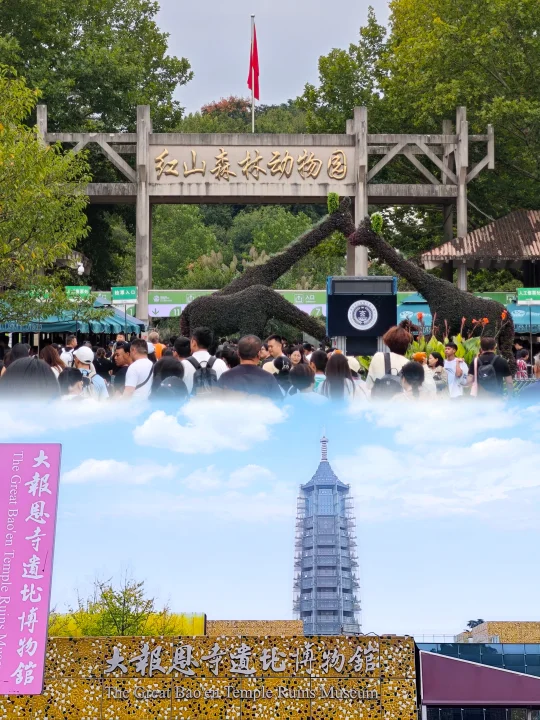 💥12月南京两大景区免费开放啦！附指南