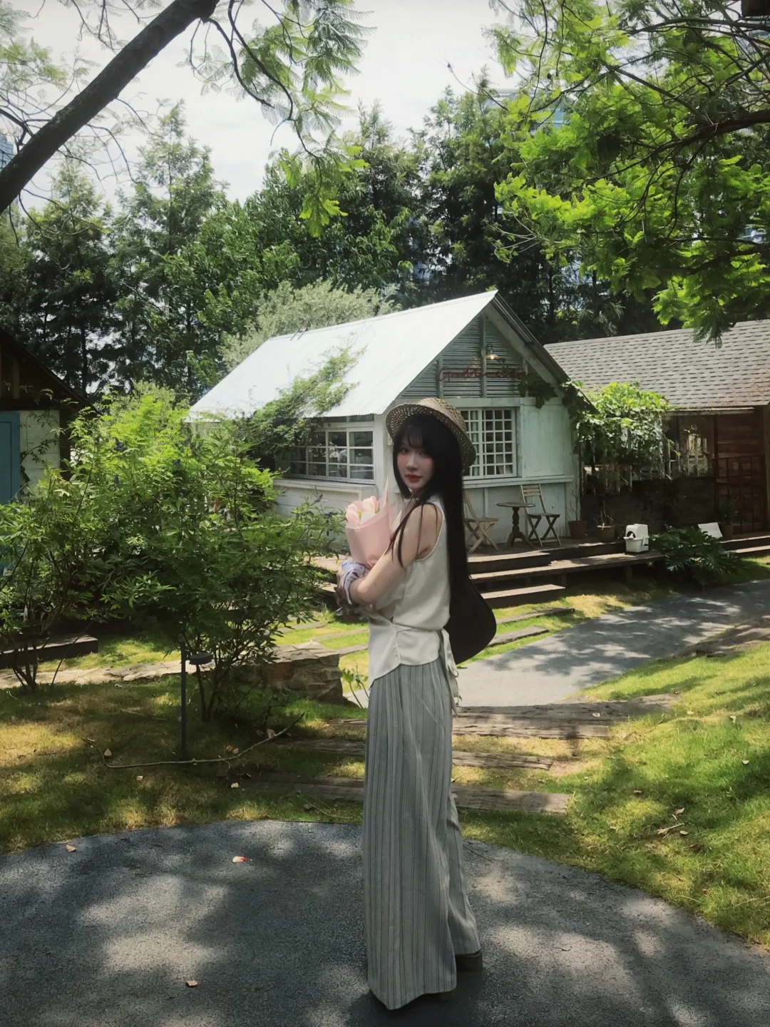 阳光与绿意🍃