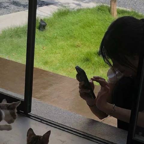 贝拉聊科技