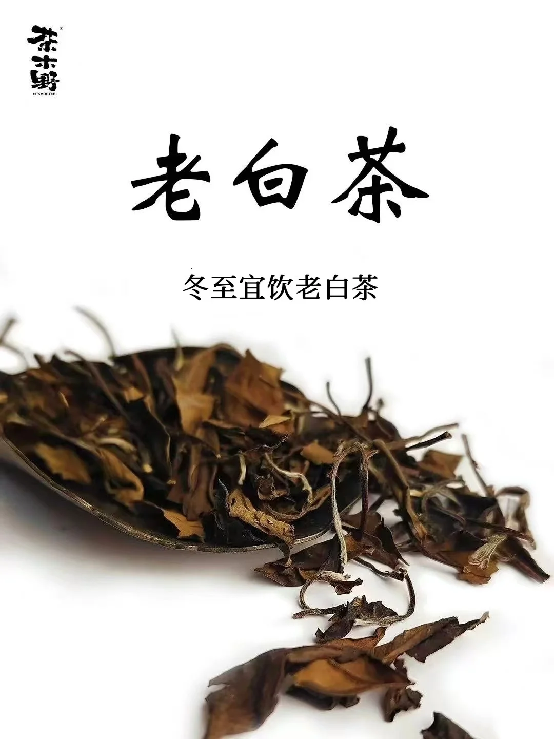 古法过冬丨冬至节气喝茶指南，老白茶