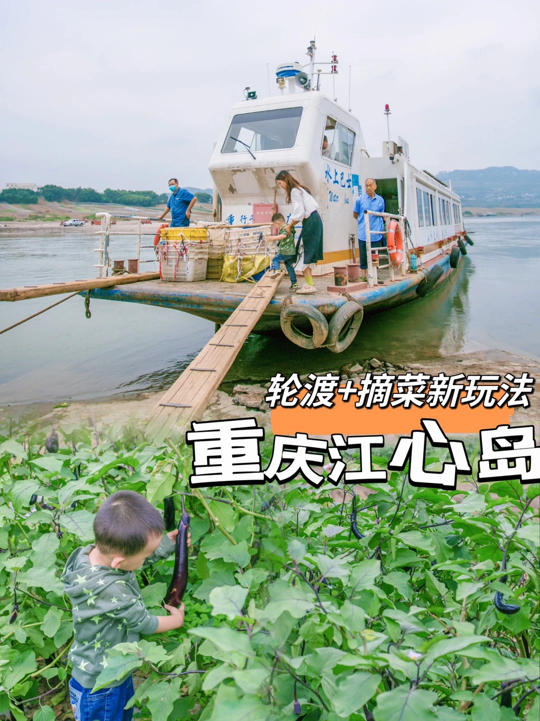 重庆遛娃🚢岛屿新玩法❗️轮渡+摘菜，都才2元