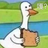 砸砸说娱