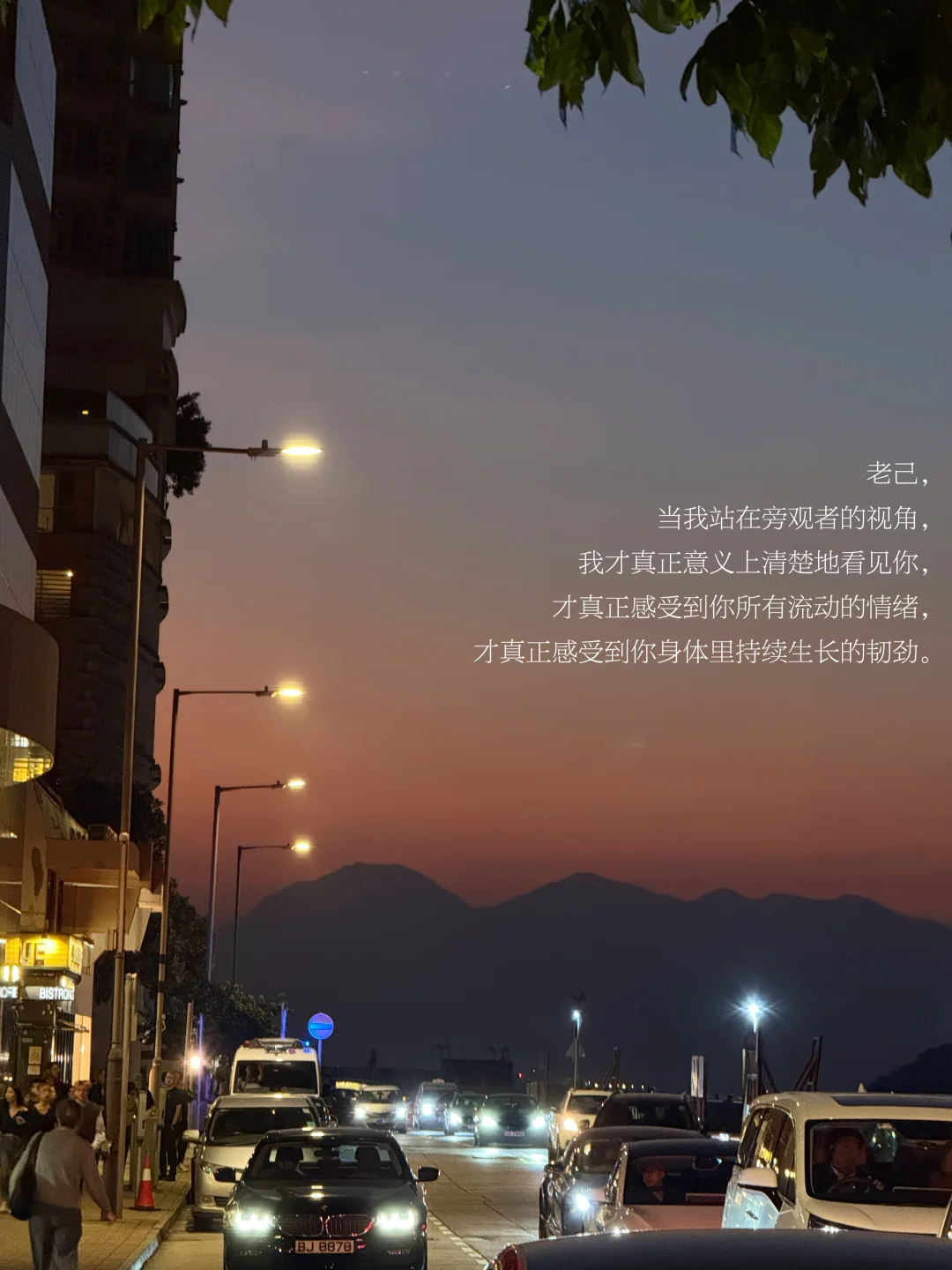 老己 当我清楚地看见你