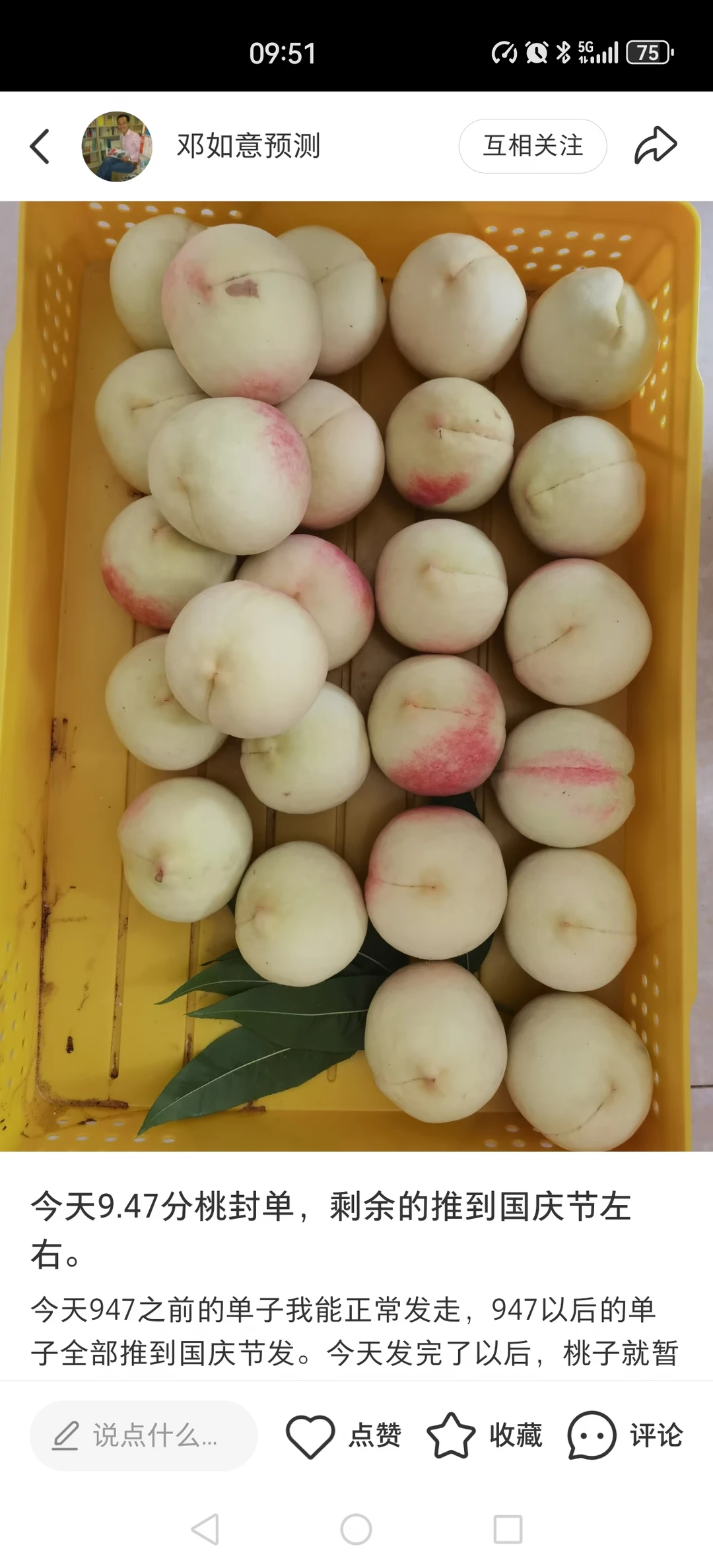 9点47以后的桃子，统一推到国庆节