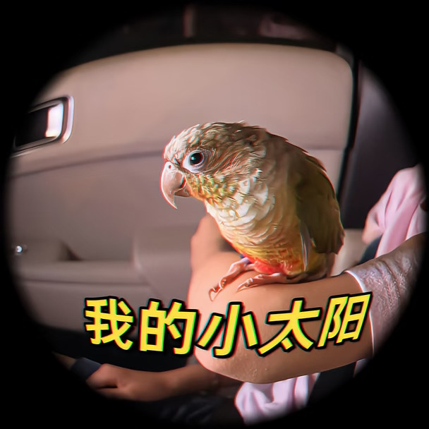 当我有了一只小太阳！
