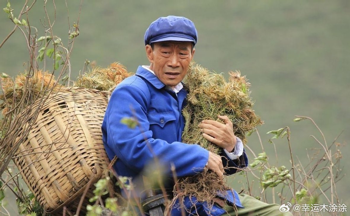 72岁的李雪健因鼻咽癌放疗后遗症恶化，双耳已完全失聪，日常全靠语音转写器交流——但他用背熟所有对手台词、紧盯口型的方式，依然坚持在片场拍戏。 一、失聪根源：抗癌26年的沉重代价- 确诊与治疗：2000