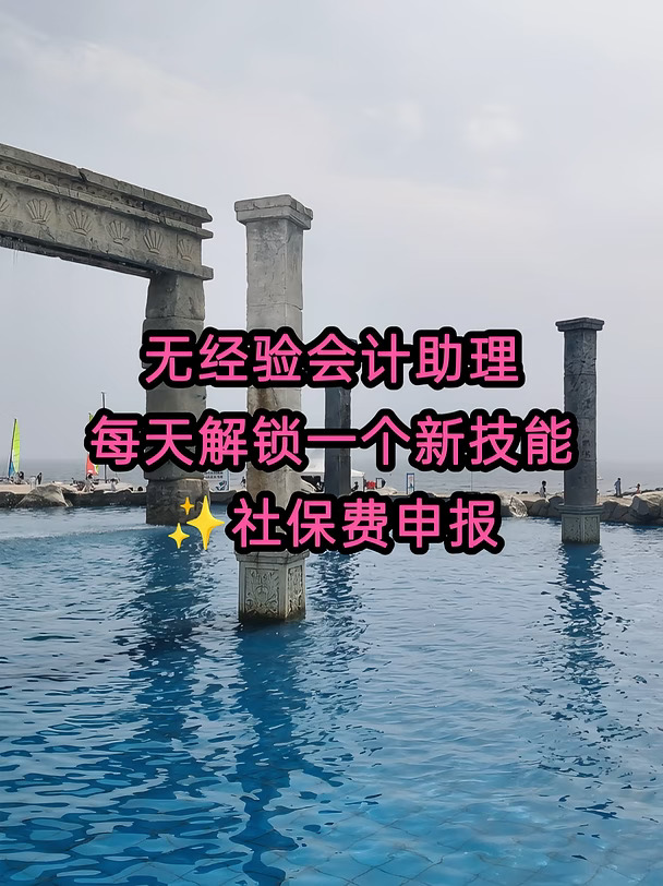 经验会计助理｜社保费申报完整实操✅