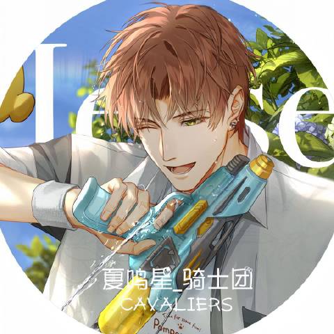 夏鸣星骑士团