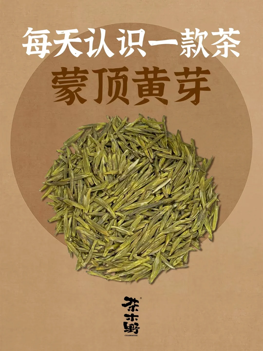 知识分享丨一分钟了解蒙顶黄芽