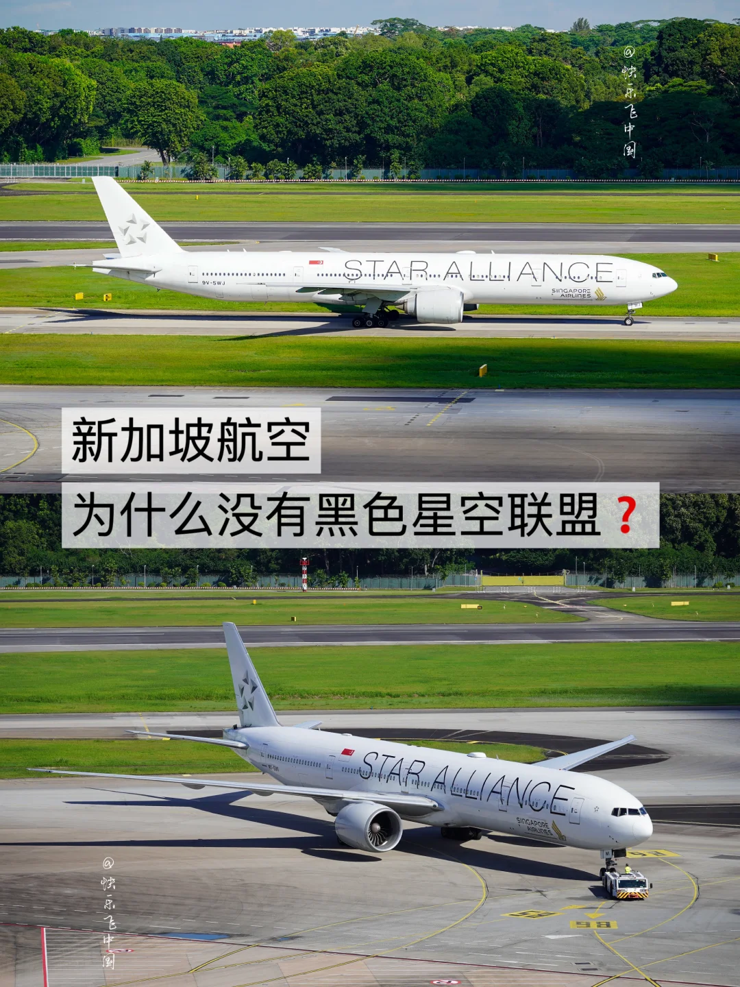 新加坡航空11架星空联盟彩绘飞机