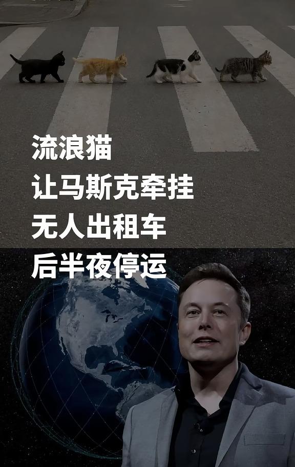 为了流浪动物，这样的举动太感人了