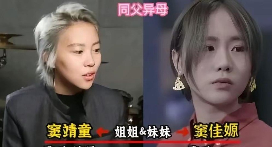 窦唯的女儿窦佳嫄，14岁约同父异母的姐姐窦靖童喝下午茶。喝完咖啡吃完水果，散了。她说，有血缘的姐妹，真的没话说。
窦佳嫄是窦唯和第二任妻子高原的女儿，2002年出生。她2岁的时候，窦唯和高原离婚。她跟着母亲高原长大。窦靖童是窦唯和王菲的女儿，比窦佳嫄大5岁。窦靖童5岁起就跟着王菲生活。两个人在两个家