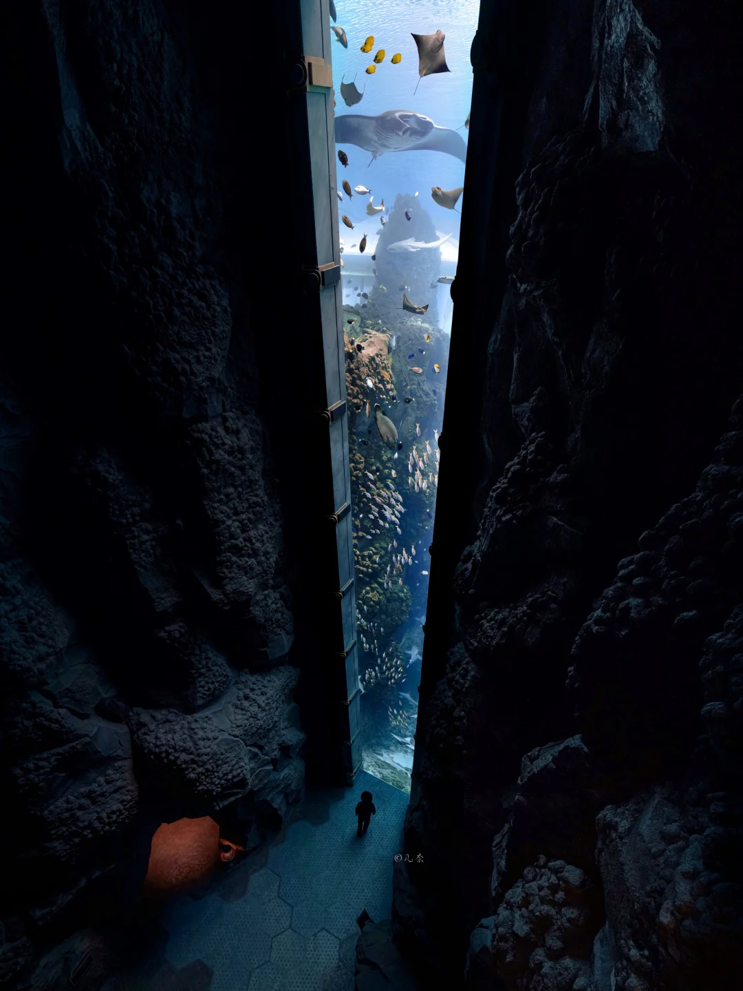 海底开启了一扇青铜巨门，太科幻以为在做梦