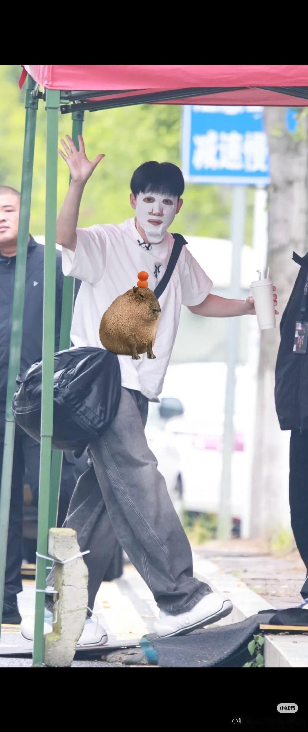 #张睿[超话]#  zr#张睿披荆斩棘# 
张睿你怎么这么抽象的哇，敷面膜上班，还得是你，期待今天的小考哈​