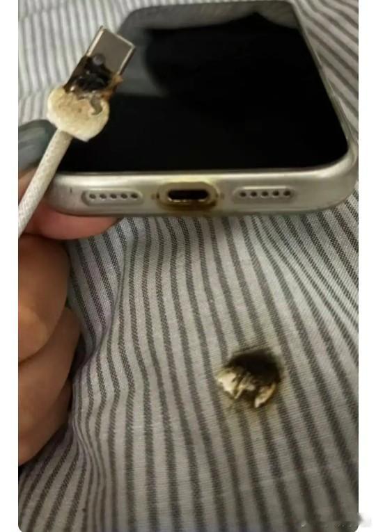 新iPhone充电自燃，官方拒换新，消费者维权陷僵局。
近期，多起苹果新机在充电时发生充电口自燃的事件引发关注。例如，河北保定的史小姐购买的iPhone 17 Pro在使用第17天时，充电接口在夜间充电时冒烟自燃，床单被烧出破洞，原装数据线严重烧焦。然而，当她向平台和苹果官方寻求换新或免费维修时，却被 ​