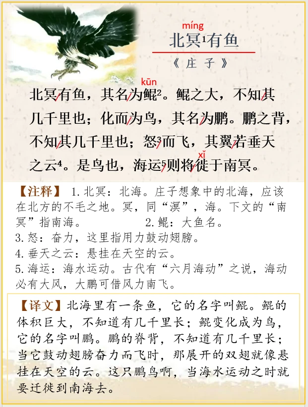 文言文解析 | 庄子《北冥有渔》