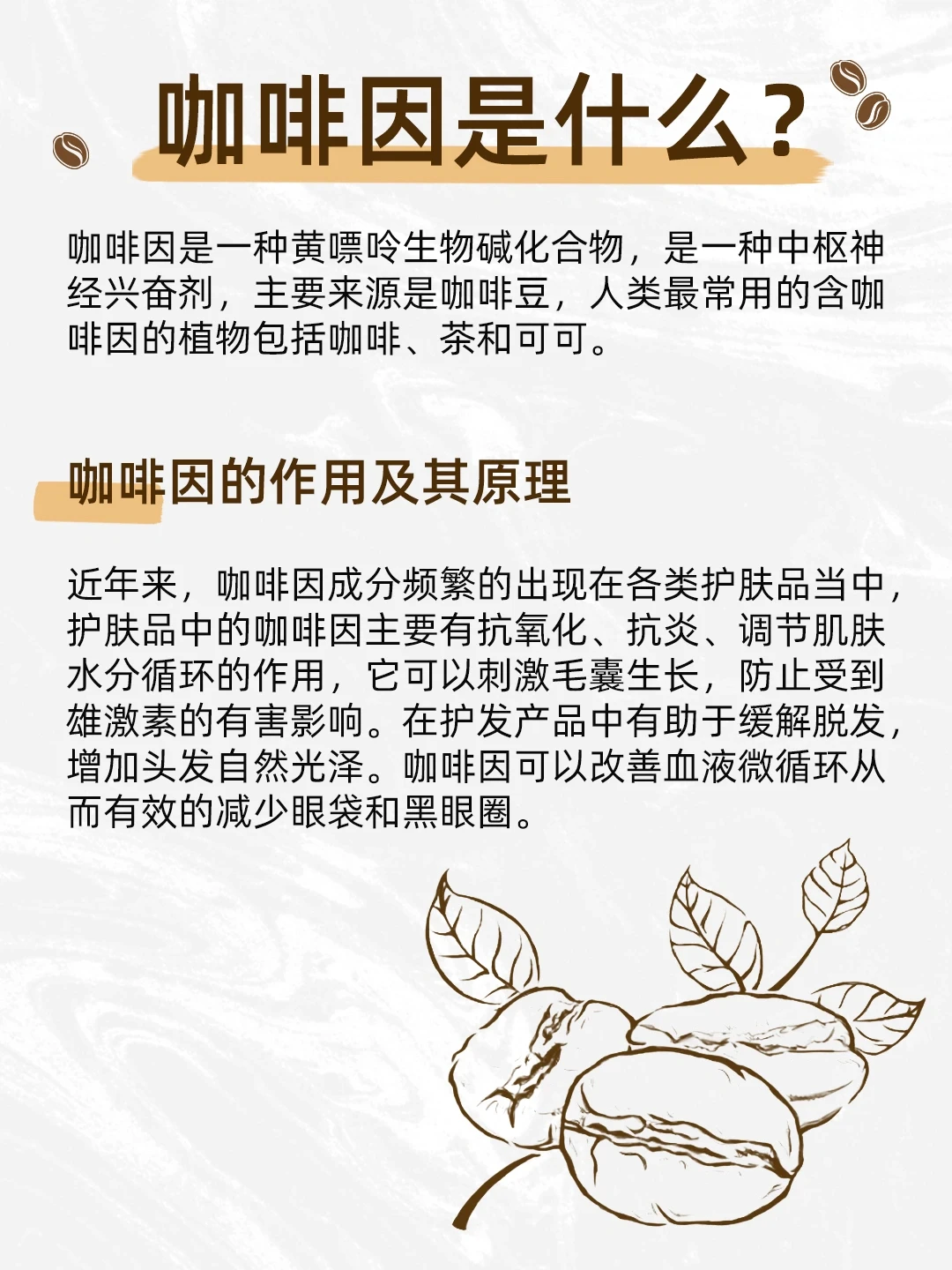 成分科普NO.1—咖啡因(Caffeine)