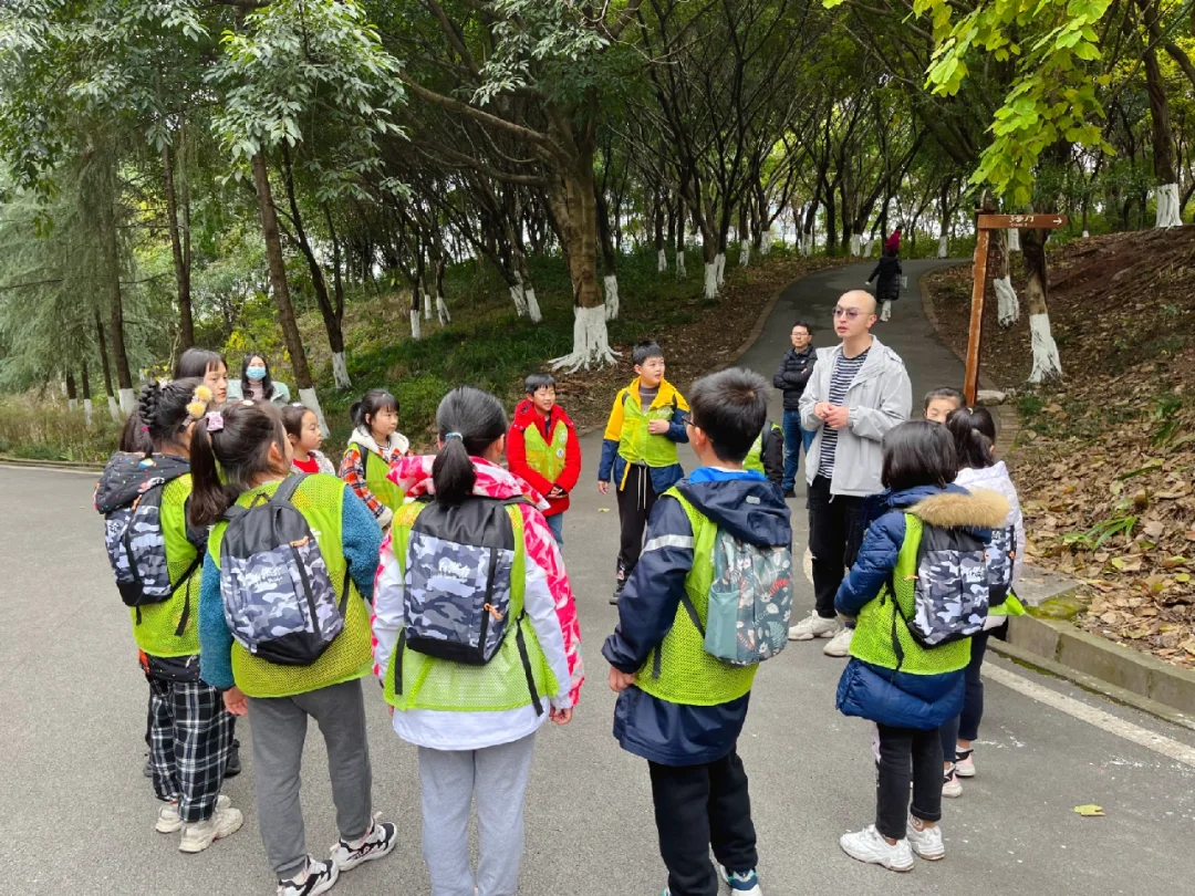 敲醒重庆的春天