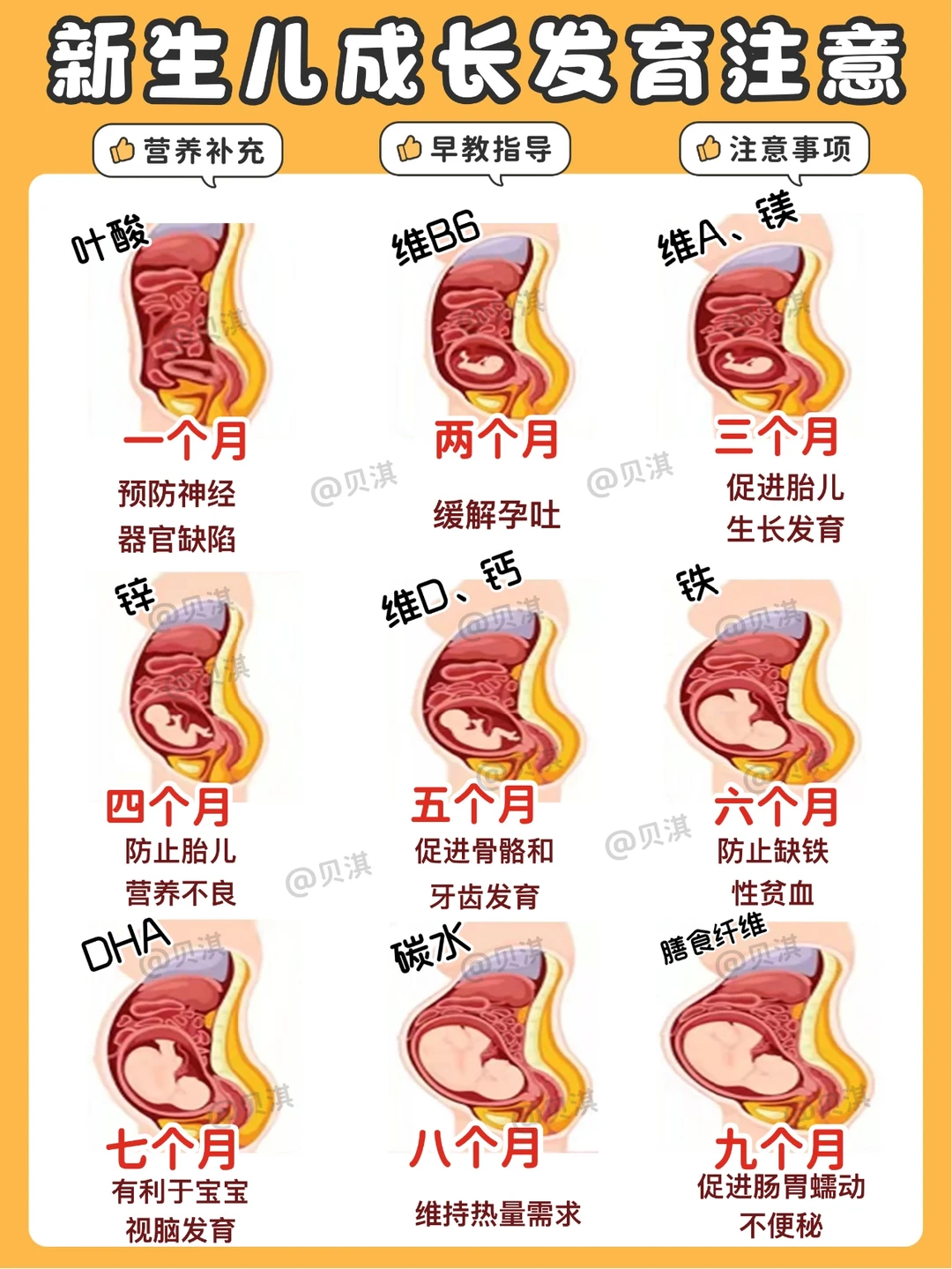金牌🥇月嫂笔记‼️价值6w育儿宝典超详细