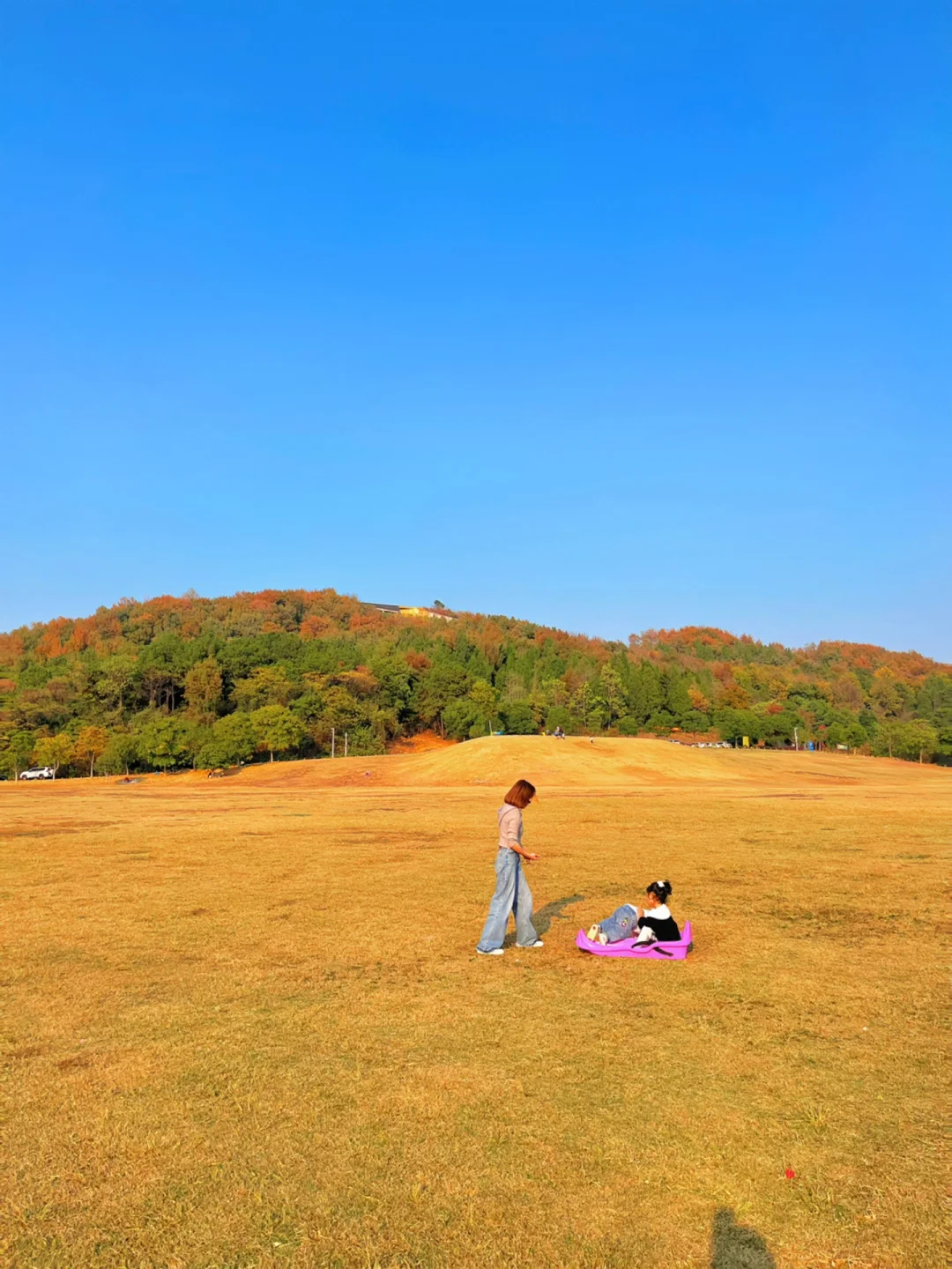 武汉遛娃9️⃣9️⃣—滑草露营超大免费草坪公园