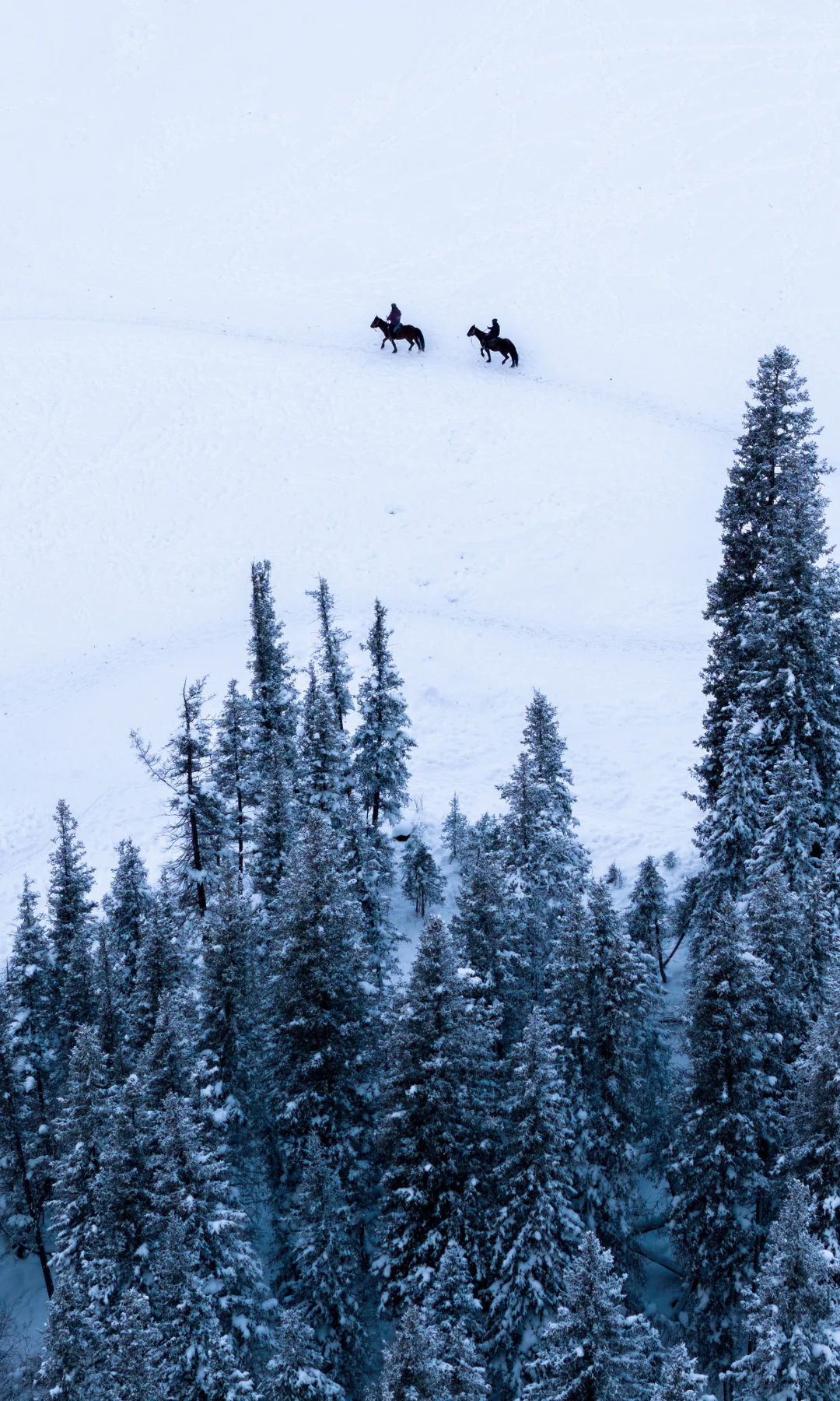 零下47°，我来到了神的自留地