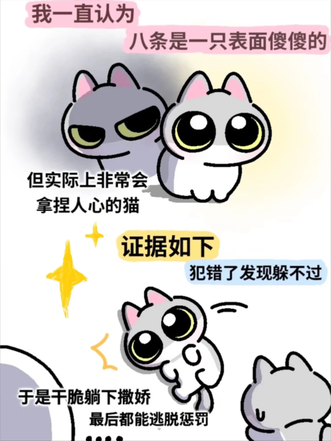 大傻猫 你在干什么！