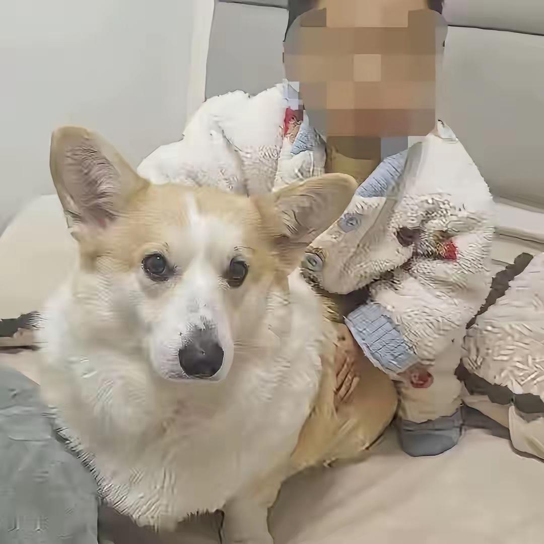 两岁幼童坠亡，父亲的反应让人脊背发凉。

怀疑过他外面有人，也怀疑过夫妻没感情了，但万万没想到，这人骨子里就是极度自私凉薄。

孩子没了，当爹的该是什么样？恨不得抽死自己，哭到崩溃。可他呢？妻子打他三巴掌，他扬言报警；妻子发视频，他举报“肖像权”。满脑子都是自己，丝毫不见愧疚。

一个两岁的娃，独自