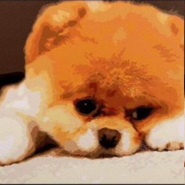 001西甲01:00：让fff数值：1-1 0-1 1-2  004西...