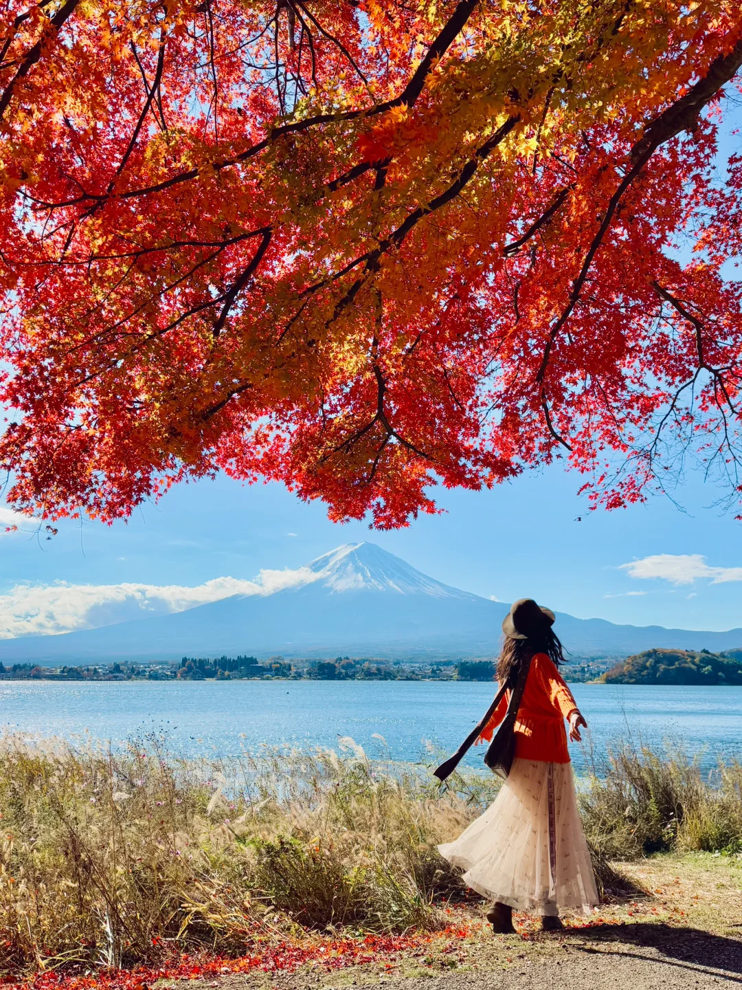 11.23实拍｜能见度10的雪盖富士山终于轮到我