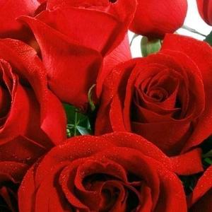 在山间摘野果的甜