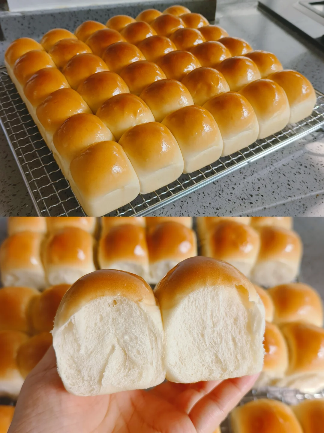 一次发酵的黄油小餐包