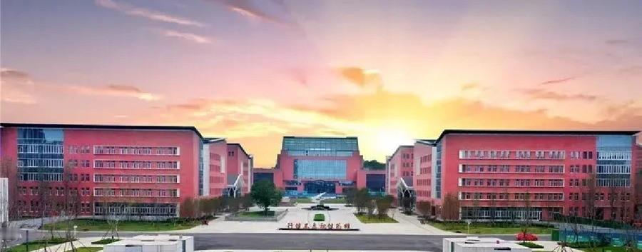 搜索结果回来了，有成绩汇总和具体运动员的夺金报道，比如邹敬园、陈艺文、刘国怡。关于运动员的原话、训练细节和反差故事，摘要里信息不多。为了获取更详细的、能引用的具体内容，比如采访原话、训练背景、或者更衣室故事，需要点开几篇看起来最权威或信息量大的文章看看，比如新华社对邹敬园的报道、成体官方的夺金汇总，