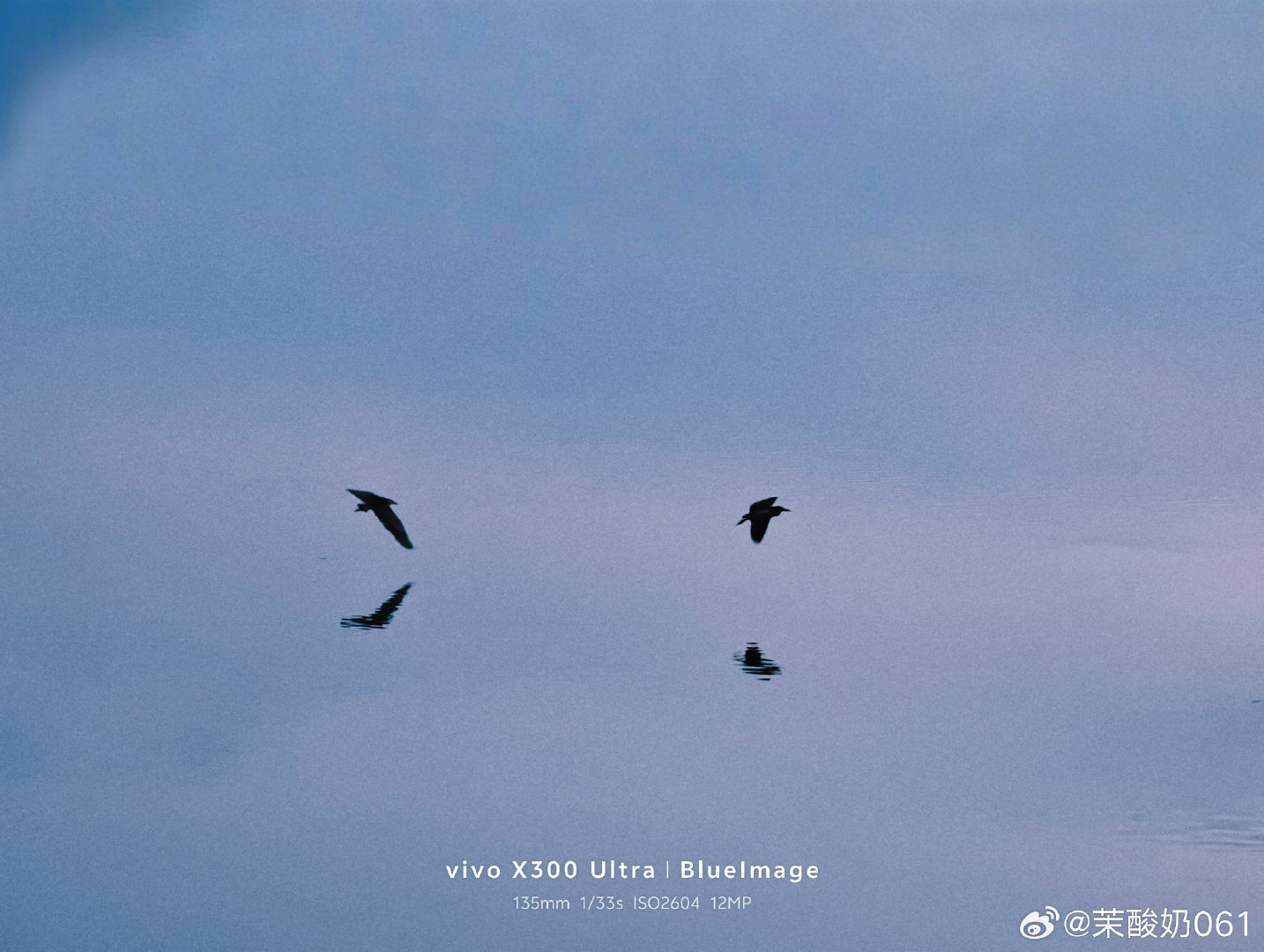 #vivo[超话]# 两只鸟儿快乐地飞来飞去，在湖面自由地翱翔着，好像在督促着享受他们自己的世界 ​