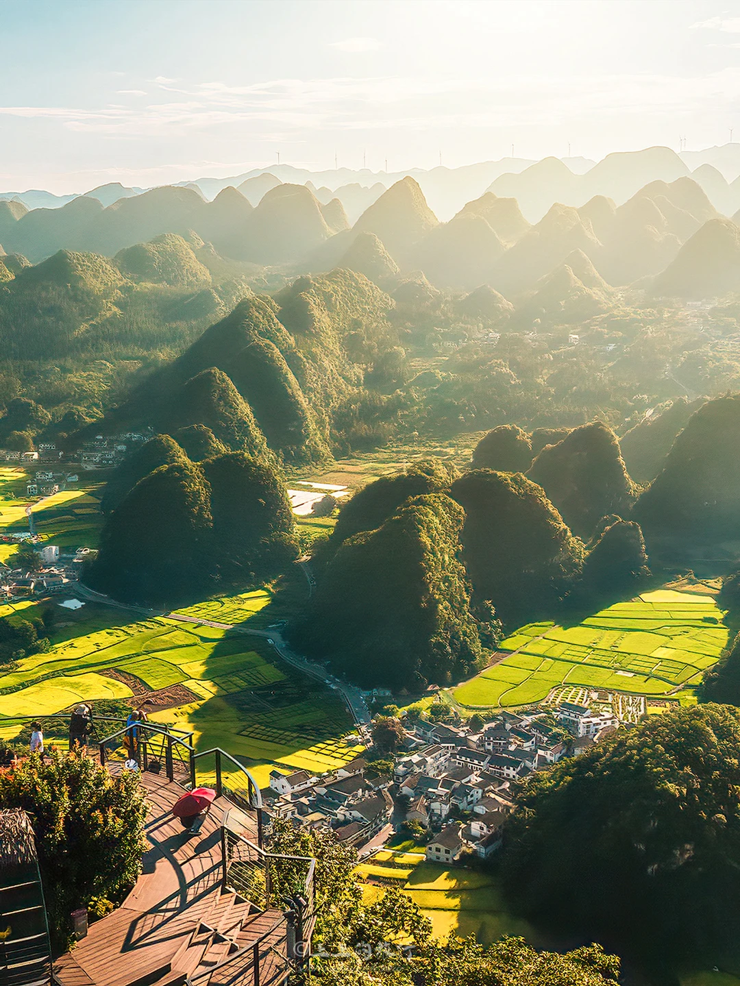 Live！！为了这片油菜花海，我去了一趟贵州‼️
