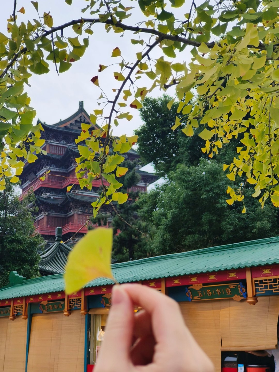 宝宝，今天暴走，途径南昌，有六个小时换乘时间，特地安排了这个乘车方案，现在在火车卧铺摇摇乐，明天一大早醒来就到南京啦[么么哒]

今天十一南昌有烟花秀表演的，其实时间是有的，但我们害怕散场被堵在人堆里，赶不上车车。选择的是下午三四点进观赏占位核心区，一路往外围走，去滕王阁，万寿宫，八 ​