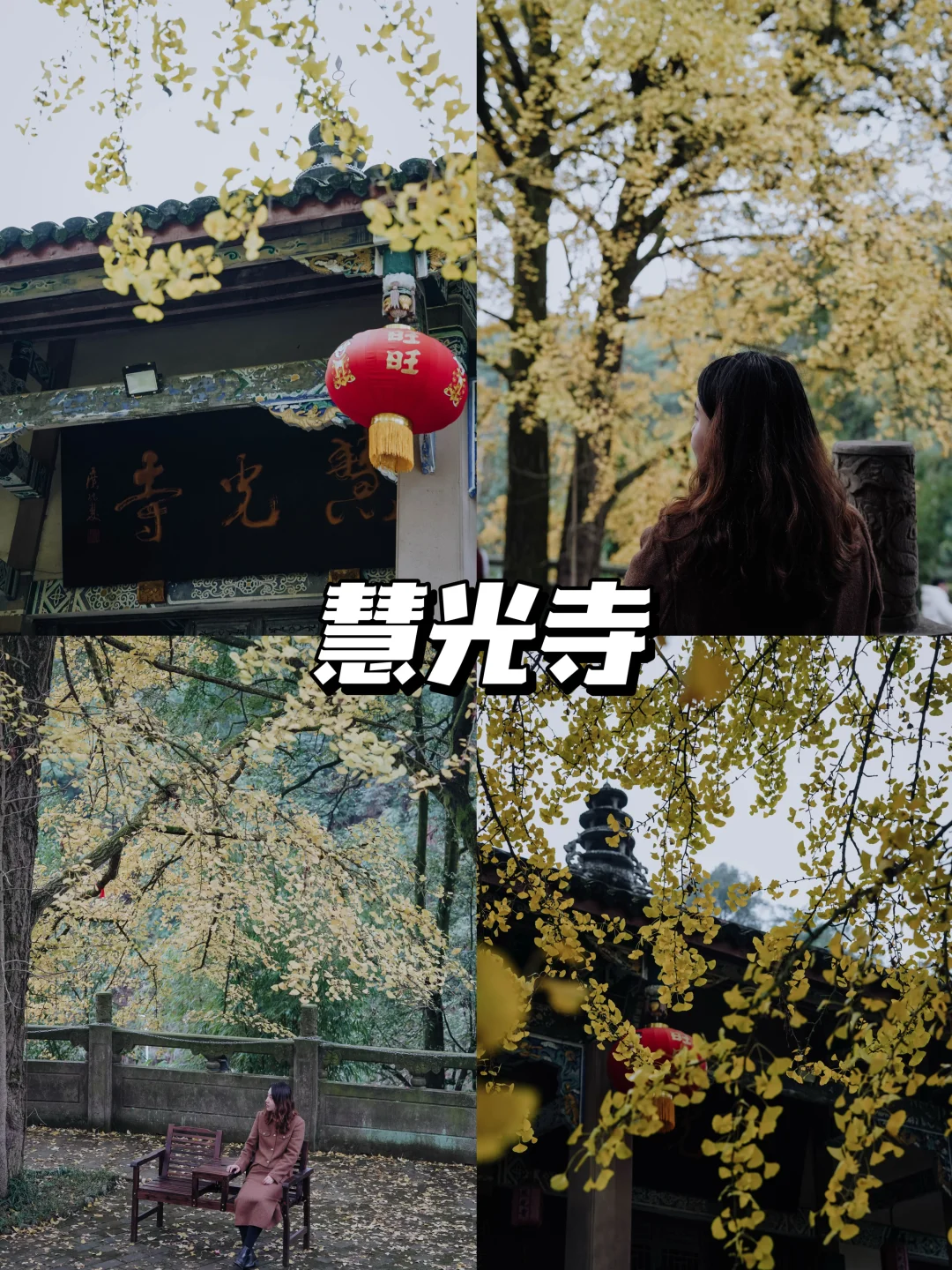 重庆铜梁慧光寺！千年古刹藏着绝美银杏🍂