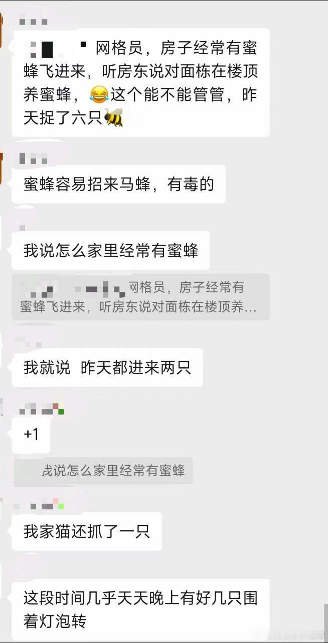 怎么会有人在城中村养蜜蜂啊啊，一觉睡醒家里五六只蜜蜂像轰炸机一样到处飞[泪]本来以前被蜜蜂蛰过就害怕 ​