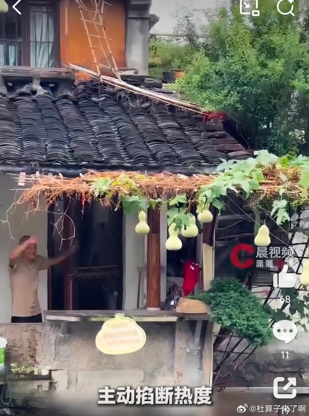 #葫芦爷爷剪掉葫芦村民被逼砍网红树#[赞]
前有网红“孤独的树”，游客踩踏农田打卡，农户被逼砍树；如今又上演葫芦风波。都是一处事物被炒成网红，流量蜂拥而至，各路人马打卡求素材。唉，又是为了流量 ​