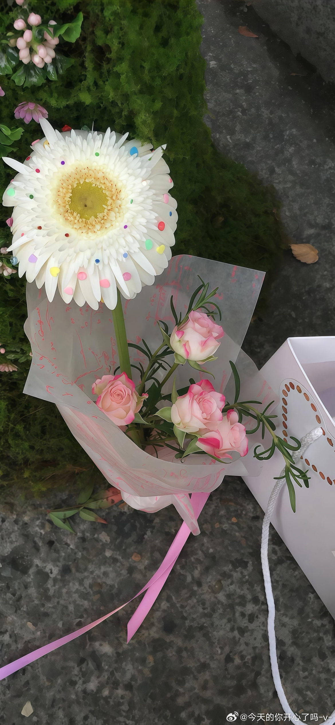 𝒔𝒉𝒂𝒓𝒆夏日壁纸｜微信背景图 | 清凉壁纸｜高级感锁屏壁纸...