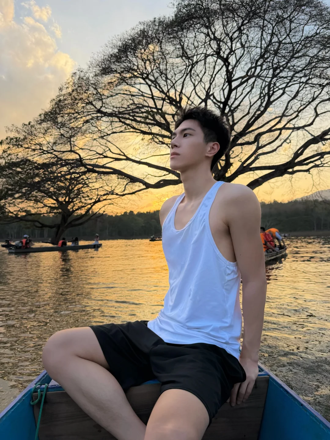 看到了一直想看的雨树