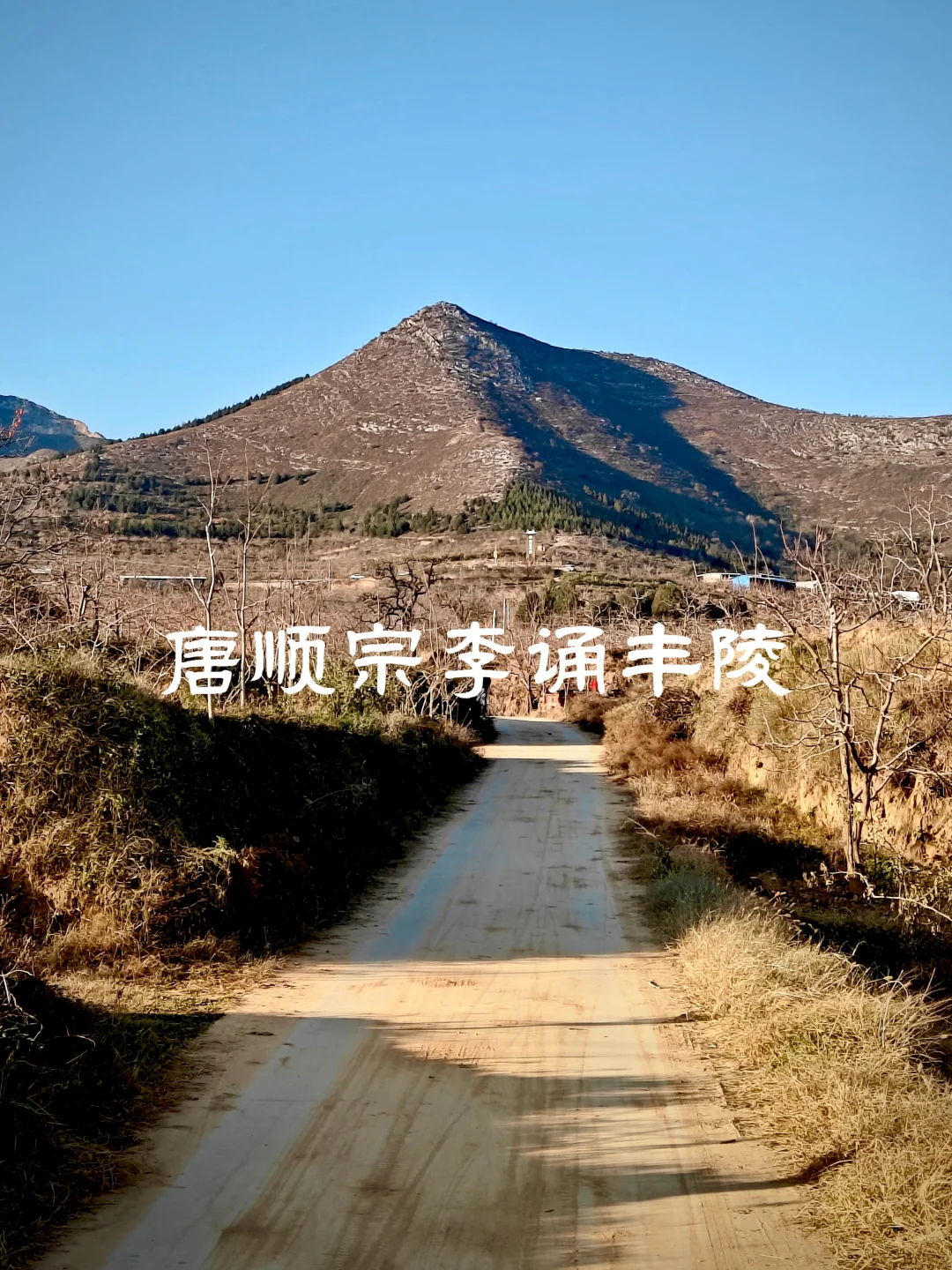 唐顺宗李诵丰陵