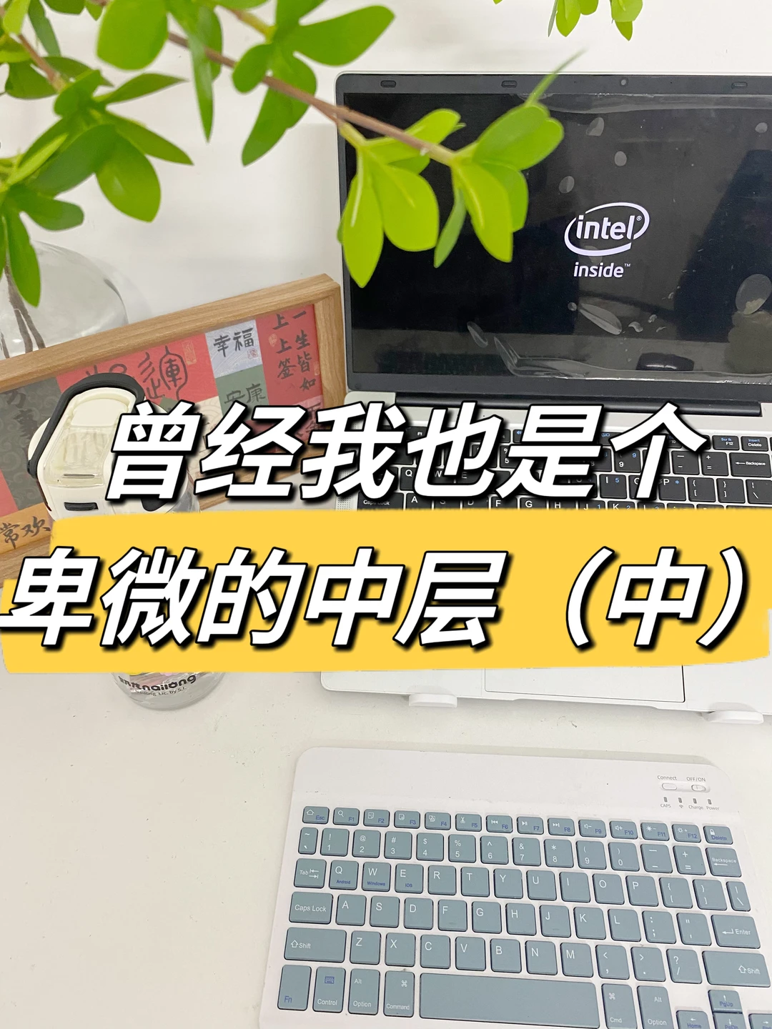 职场感悟：比人到中年更难的是人到中层😂🔥