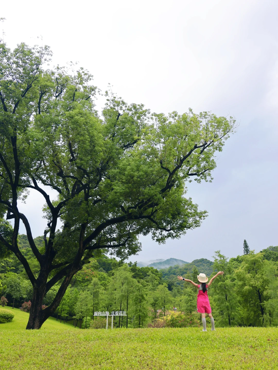 广州版“阿勒泰” 我至少要三刷