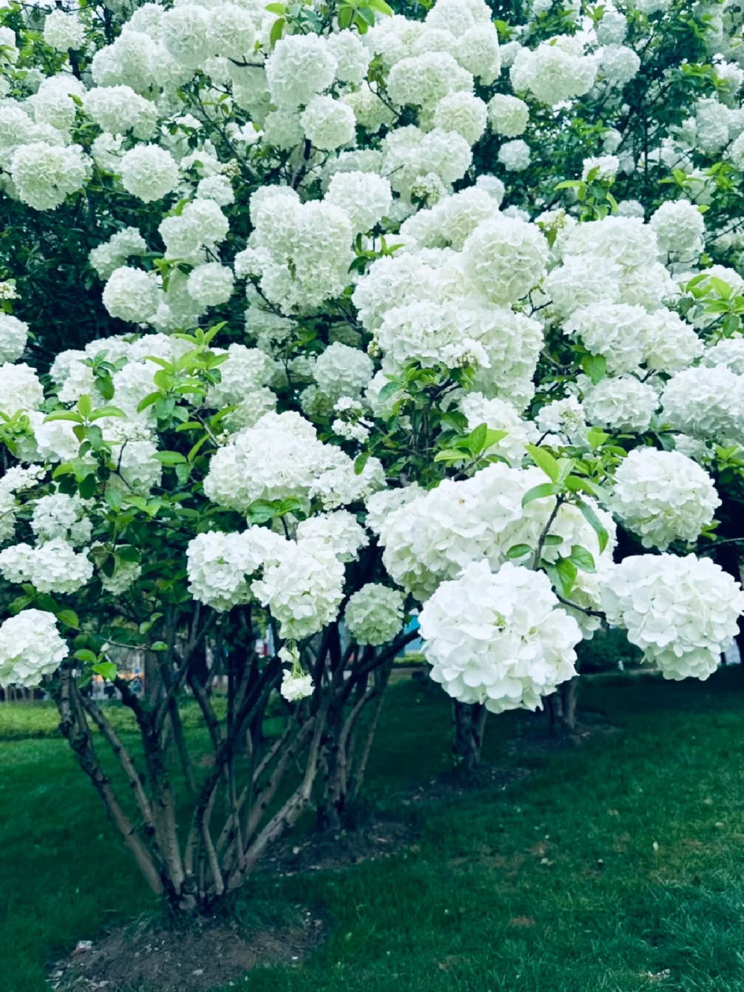 这可能将会是4月的顶流……