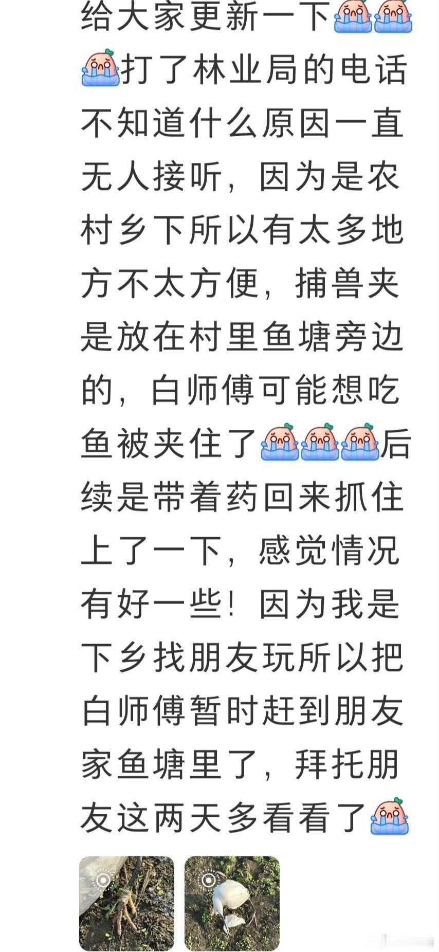 所以捕兽夹这东西，还有捕鸟网之类，难道不应该是最基础的普法内容吗？难道不应该禁售吗？难道就特别难治理吗？（来源网络，侵删。）#动物保护##为动物发声# ​