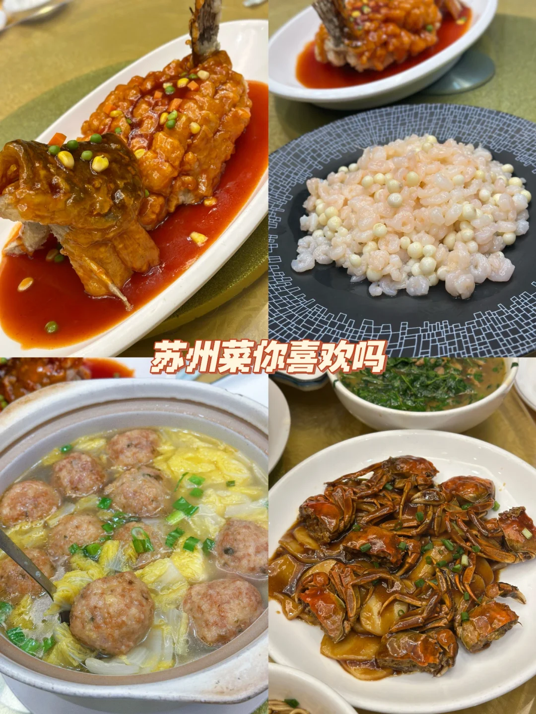 打卡苏州网红店最惊艳我的居然是白菜肉丸子